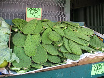 Nopales alaventa.jpg