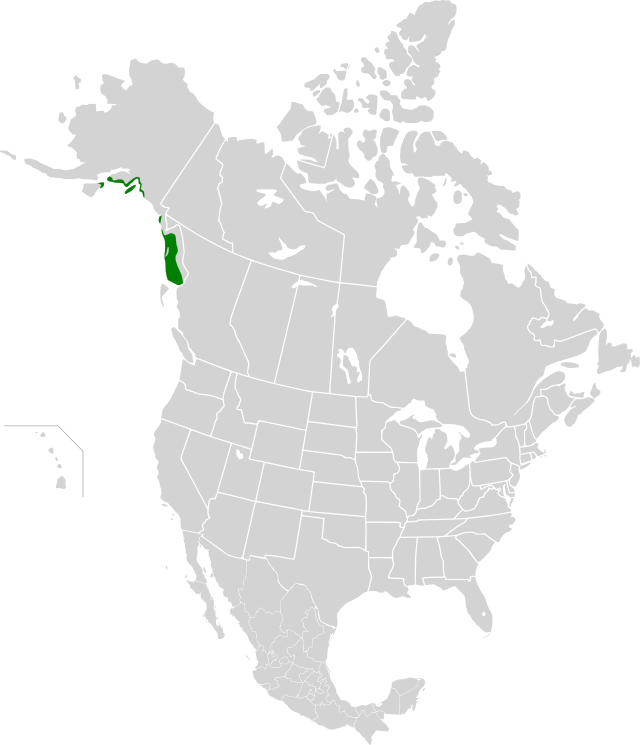 Description de l'image Northern Pacific coastal forests map.svg.