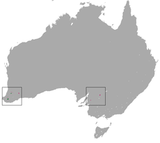 Numbat area.png