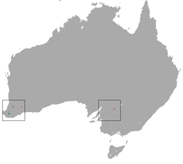 Distribución de Myrmecobius fasciatus (verde) e lugares onde se reintroduciu (rosa)