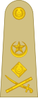 OF-9 Пакистанска армия.svg