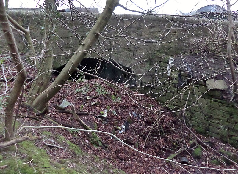 File:Oaklea Bridge, Auchincruive Waggonway & cutting, South Ayrshire, Scotland.jpg