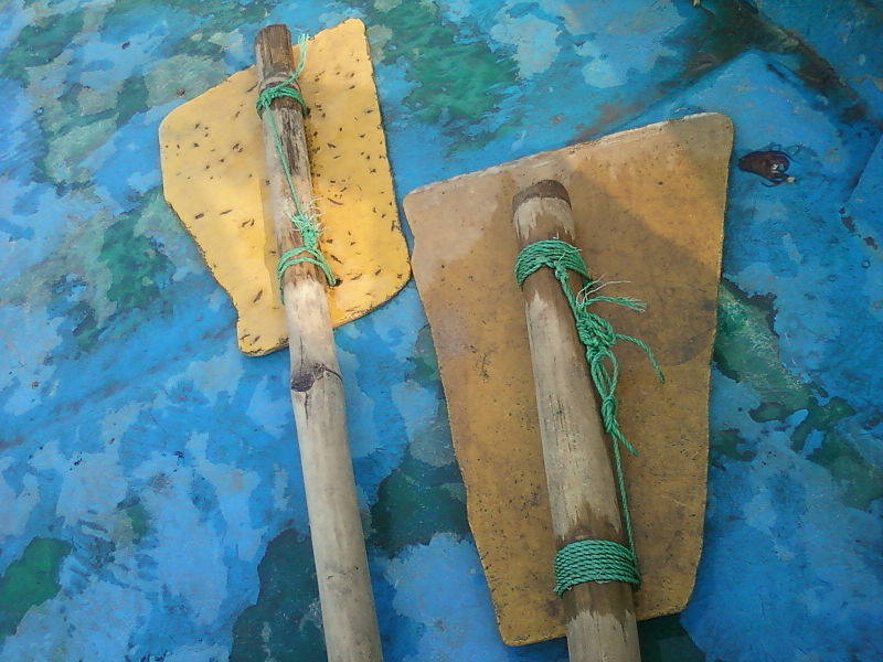 File:Oars in a boat on River Gosthani at Sanghivalasa.jpg
