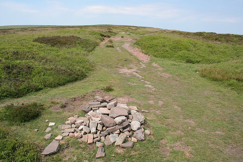 File:Offa's Dyke footpath, Hatterall Ridge - geograph.org.uk - 195680.jpg