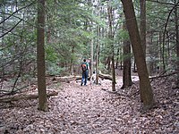 One of many walking trails. Ohiopyletrail.jpg