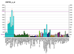 PBB GE HNRPR 208765 s at fs.png