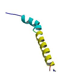 PBB -proteiini CRH image.jpg