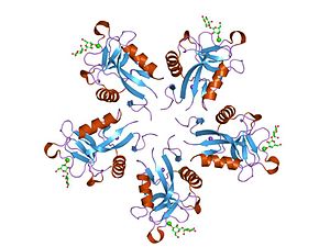 PDB 1jzn EBI.jpg