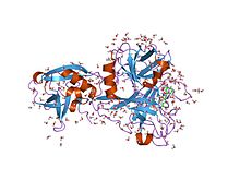 PDB 1p57 EBI.jpg