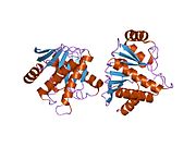 PDB 2fxk EBI.jpg