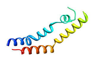 <span class="mw-page-title-main">Plant-specific insert</span>