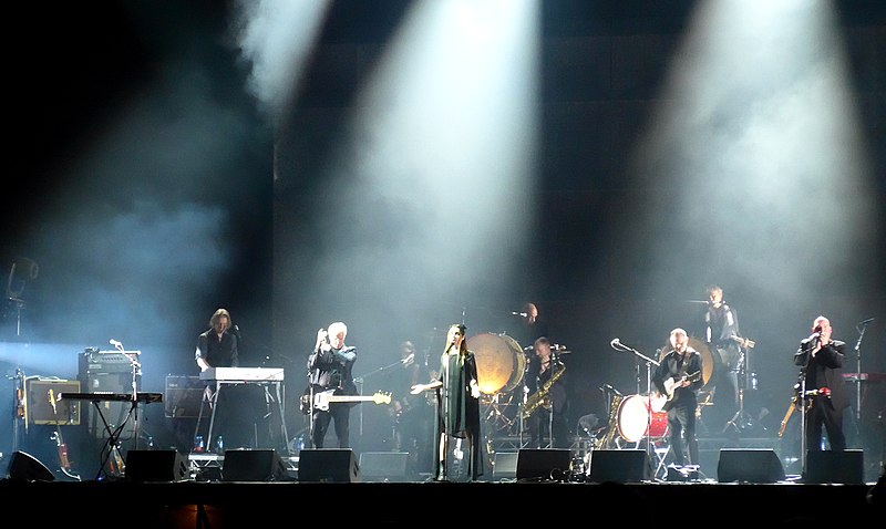 File:PJ Harvey @ Rock en Seine, Paris, 26.08.2017 - 36193762334.jpg