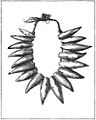 PSM V40 D056 Necklace of whale teeth.jpg