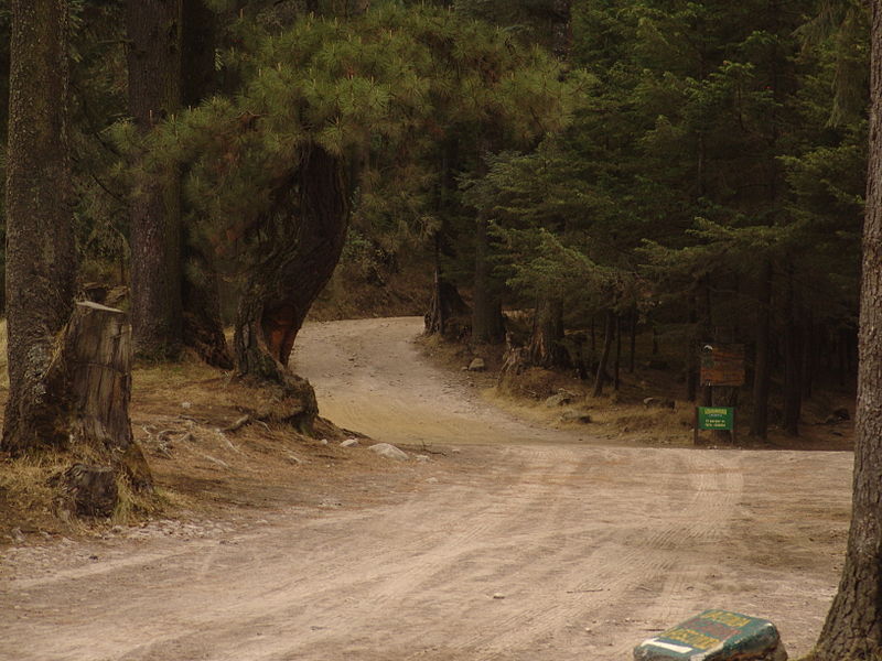 File:Paisaje del Ajuscos. (Tlalpan, Distrito Federal). 30.JPG