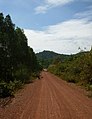 Дорога в провинции Каеп
