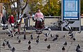 "Pigeons_flying_in_front_of_a_pink_human_(DSCF1939).jpg" by User:Trougnouf