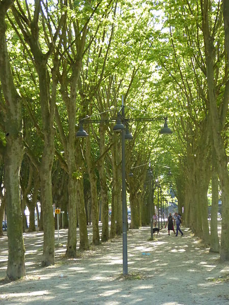 File:Place des Quinconces, Bordeaux, July 2014 (05).JPG