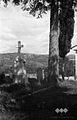 Pokopališče v Biljani, zadaj Šmartno 1953.jpg