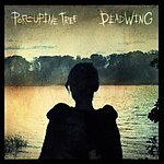 Album cover Deadwing