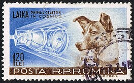 Laika op in Roemeenske postsegel, 1959