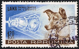 A post card featuring Laika; the text, translated to english, reads: Laika, first traveler into the cosmos
