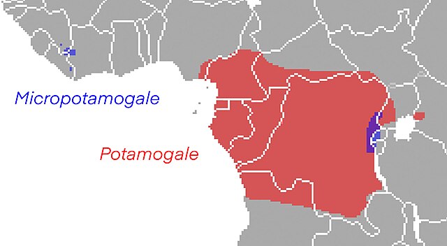 Image: Potamogalidae range