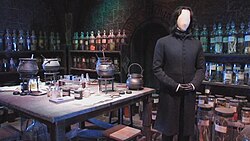 Potions Lessons (7679079538).jpg