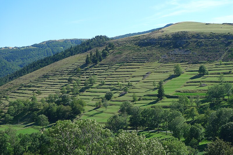 File:Près du hameau de Pras.JPG