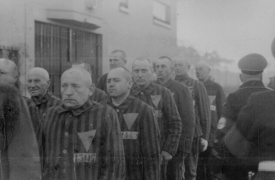 File:PrisonersKZSachsenhausen1938.jpg