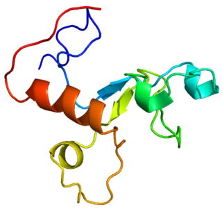 <span class="mw-page-title-main">MBNL2</span> Protein-coding gene in the species Homo sapiens