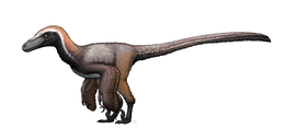 A Pyroraptor rekonstrukciója