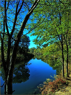 Río-henares.jpg