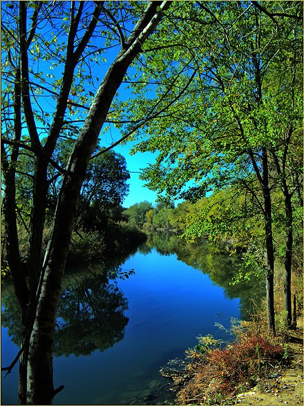 Henares River crossing the outskirts of Guadalajara Rio henares.jpg