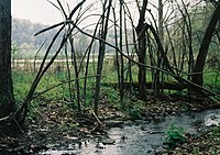 A small stream in the foreground lined with tangled small trees, in the background is a level are with standing water and fields edged by forest