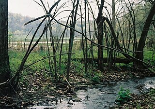 Richhill Township, Greene County, Pennsylvania Township in Pennsylvania, United States