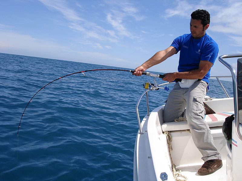 Jigger Pole Bass Fishing