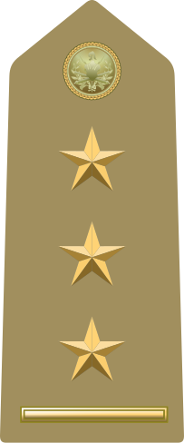 File:Rank insignia of primo capitano of the Army of Italy (1973).svg