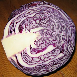 Red cabbage.jpg