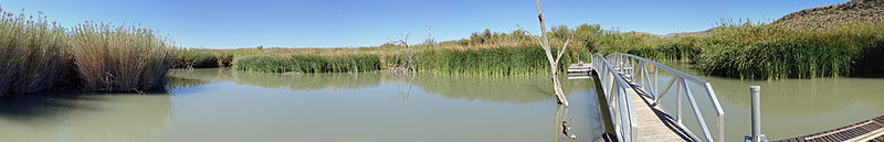 File:Rio Grande Village Nature Trail.JPG