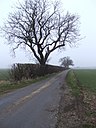 Road to Rothwell Top Farm - geograph.org.uk - 637237.jpg