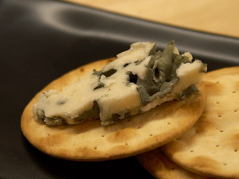 File:Roquefort cheese - PDphoto.jpg