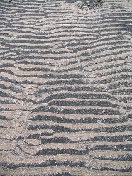 File:Sand ripples, Longniddry - geograph.org.uk - 785826.jpg