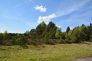 Schleswig-Holstein, Bark, Wittenborner Heide NIK 6057.jpg