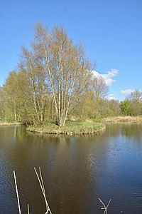 Schleswig-Holstein, Lunden, Landschaftsschutzgebiet und Naturerlebnisraum NIK 5772.jpg