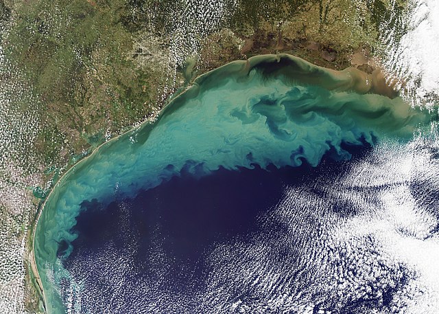 Sedimentation in the northwestern Gulf of Mexico in the wake of Hurricane Ida