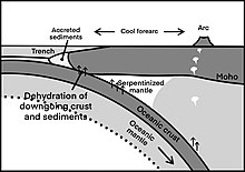 Hydration of forearc mantle due to the water expelled from deeper part of the subducting plate. Adapted from Hyndman and Peacock (2003) Serpentinization Process at Subduction Zone.jpg