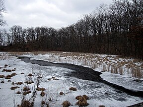 Schneebedeckter Fluss in Pinckney.jpg