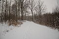 * Nomination: Snowy walking path in Holmestrand.--Peulle 10:19, 4 April 2023 (UTC) * * Review needed