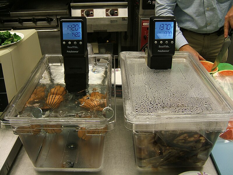 https://upload.wikimedia.org/wikipedia/commons/thumb/a/a2/Sous_Vide_Cooking.jpg/800px-Sous_Vide_Cooking.jpg