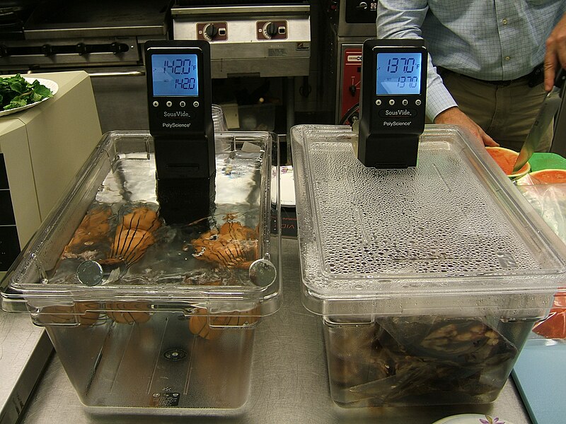 Getting Started with Sous Vide: Frequently Asked Questions